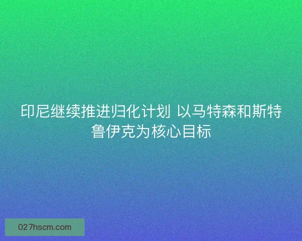 印尼继续推进归化计划 以马特森和斯特鲁伊克为核心目标